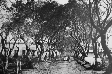 Buenos Aires, Cementerio de los Disidentes, Plaza 1º de Mayo